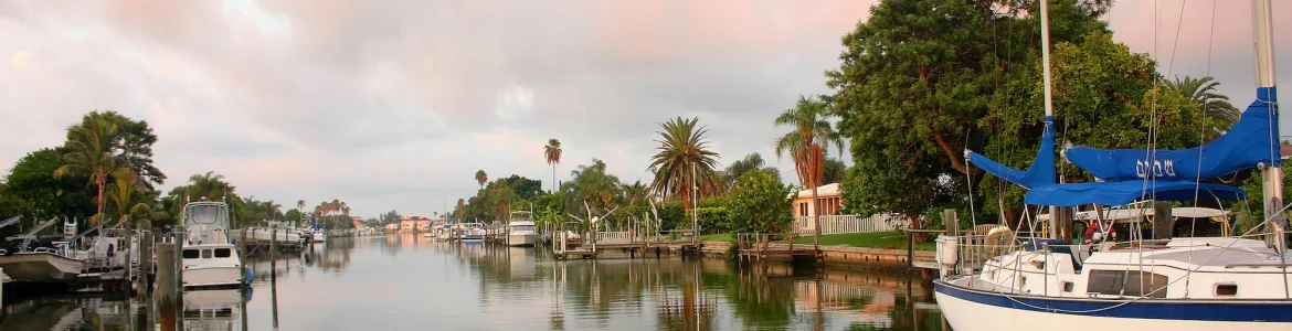 Photo of Palm Trees & bay