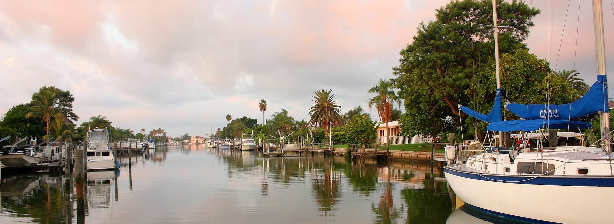 Photo of Palm Trees & bay